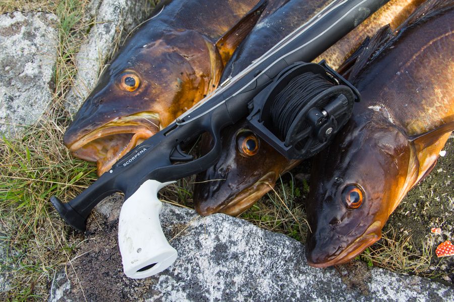 Spole arbaletam Scorpena - Image 4