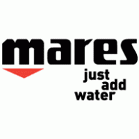 Inner barrel for Mares Cyrano 55