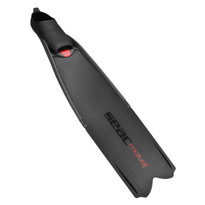 Pleznas Seac Sub Motus